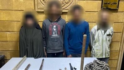 داخل عقار.. ضبط 4 أشخاص بتهمة التنقيب غير المشروع عن الآثار