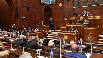 مجلس الشيوخ يوافق نهائيا على قانون الضمان الاجتماعى الموحد