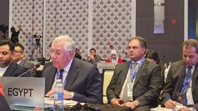 وزير الزراعة: مصر قدمت أكثر من 80% من المساعدات الغذائية لقطاع غزة