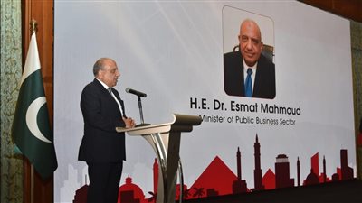 وزير قطاع الأعمال: تعزيز التعاون الاقتصادي بين مصر وباكستان و400 مليون دولار حجم التبادل التجاري