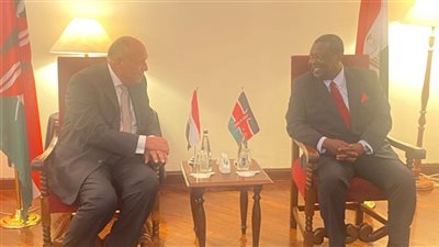 سامح شكري يلتقي مع رئيس مجلس الوزراء ووزير الشئون الخارجية والمغتربين في جمهورية كينيا