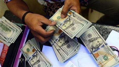 بقيمة 22 مليون جنيهاً.. ضبط عدد من قضايا الإتجار في العملات الأجنبية 