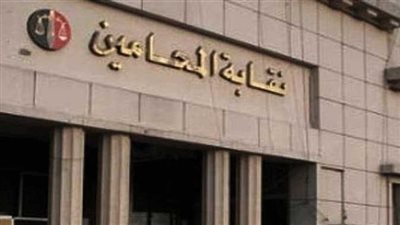 إحالة دعاوى وقف انتخابات المحامين للمفوضين