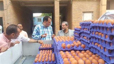 معرض وزارة الزراعة يطرح كرتونة البيض بـ 140 جنيهاً