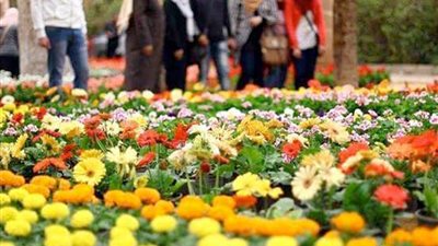 باليوم والتاريخ.. موعد إجازة شم النسيم 2025 في مصر 