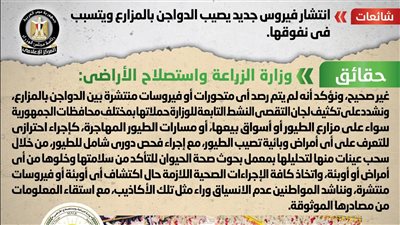 الحكومة تكشف حقيقة انتشار فيروس جديد يصيب الدواجن بالمزارع ويتسبب في نفوقها