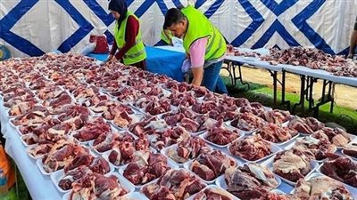 وزارة الأوقاف تسلم 6 أطنان لحوم من صكوك الإطعام إلى أهالي غزة