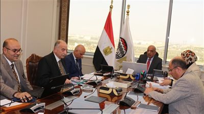 وزير قطاع الأعمال يستعرض خطة تطوير فروع التجارة الداخلية بالتعاون مع القطاع الخاص