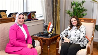 جندي: هدفنا حماية الشباب المصري من مخاطر الهجرة غير الشرعية من خلال العمل ضمن المبادرة الرئاسية «مراكب النجاة»