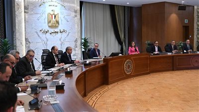 مدبولى يشدد على أهمية أن تكون هناك مُوجة انخفاضات أخرى في الأسعار