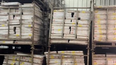 بتهمة تخزين دواجن منتهية الصلاحية.. ضبط مسئول ثلاجة بدمياط