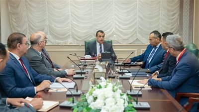  وزير الدولة للإنتاج الحربى يبحث مجالات التعاون المشترك مع شركة تاليس العالمية