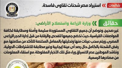 الحكومة توضح حقيقة استيراد مصر شحنات تقاوي فاسدة