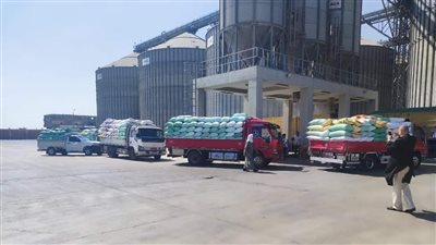 وزير التموين: فتح جميع نقاط استلام وتوريد القمح المحلي المنتج هذا العام بالمحافظات