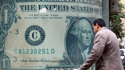 وصل لـ 48.75 جنيه.. صدمة بشأن سعر الدولار في مصر
