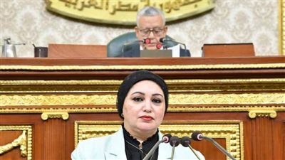 وكيل قوى عاملة النواب: نستهدف تعزيز التحول الرقمى بموازنة العام الجديد