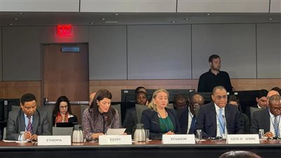 وزيرة التعاون الدولي تُطالب المجتع الدولي بضرورة التوسع في أدوات التمويل المبتكرة 