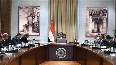 رئيس الوزراء يتابع موقف زراعة الأرز وتوفيره في الأسواق للمستهلكين