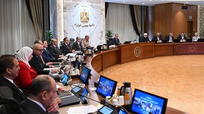 الحكومة تصدر 11 قرار جديد 