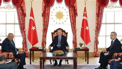 رئيس الجمهورية التركية يستقبل وزير الخارجية خلال زيارته لإسطنبول