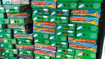 تزامناُ مع إقتراب عيد الفطر المبارك.. ضبط 16 طن رنجة فاسدة في الغربية