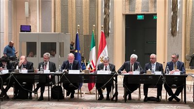 وزير الكهرباء يجتمع مع وزير الشركات وصنع في إيطاليا لبحث سبل دعم وتعزيز التعاون الثنائى المستقبلى 
