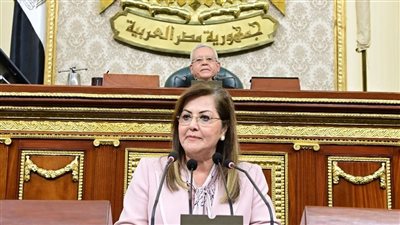 وزيرة التخطيط تناقش مشروع خطة التنمية الاقتصادية والاجتماعية لعام 24/2025 أمام مجلس النواب