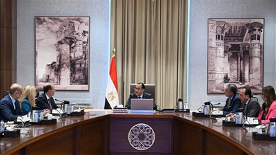 رئيس الوزراء يلتقي مسئولي شركة 