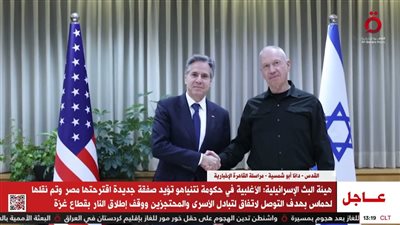 القاهرة الإخبارية تكشف تفاصيل الصفقة المصرية لوقف العدوان الإسرائيلي على غزة