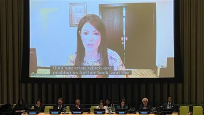 المشاط تُشارك في منتدى التمويل من أجل التنمية للمجلس الاقتصادي والاجتماعي التابع للأمم المتحدة ECOSOC