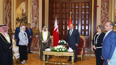 رئيس الشيوخ يستقبل رئيس مجلس النواب البحرينى