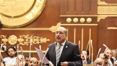 رئيس برلمانية الشعب الجمهوري بالشيوخ يطالب بإدراج مشروعات التصنيع الزراعى ضمن خطة تحديث الصناعة