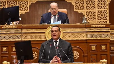 وزير التنمية المحلية : الرئيس السيسي يولي اهتماماً كبيراً بملف التصنيع الزراعي وزيادة الرقعة الزراعية  