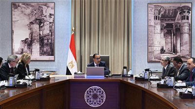 رئيس الوزراء يلتقي الرئيس التنفيذي لشركة 