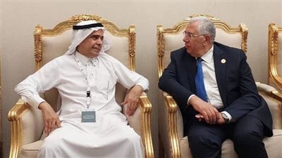 وزير الزراعة يلتقى مع المدير التنفيذي للمجلس الدولى للتمور  ويبحث معه التعاون المشترك 