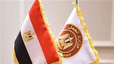 وزارة العمل: توفير 14 ألف فرصة عمل لذوى همم 