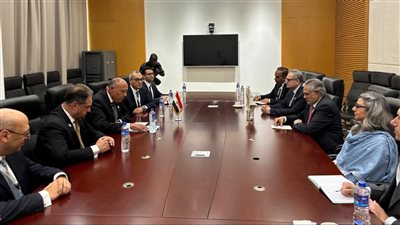 وزير الخارجية يستعرض مع نظيره الباكستانى جهود مصر لوقف إطلاق النار فى غزة