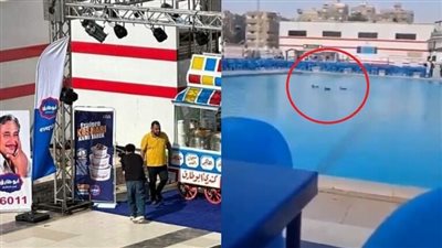 بعد الكشري.. مسؤول يعلق على فيديو 