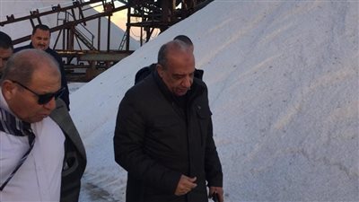 وزير قطاع الأعمال يبحث تطوير ملاحة 