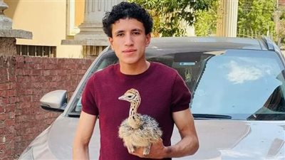 توفي بسبب الحسد.. من هو يوسف أصغر مربي نعام؟