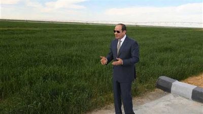 الرئيس السيسي عن تطوير مسجدى السيدة زينب والحسين: بيت ربنا ما يتعملش إلا صح