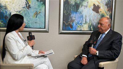 وزير الخارجية: وقف إطلاق النار فى غزة أولا ثم الحديث عن مؤتمر دولى للسلام