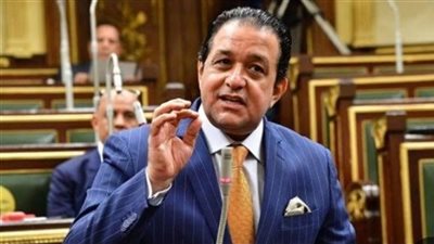 النائب علاء عابد: التصويت لفلسطين بالحصول على عضوية كاملة بالأمم المتحدة تكليل لجهود مصر