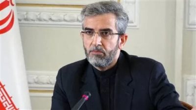 الحكومة الإيرانية تعين علي باقري وزيرا للخارجية بدلا من عبد اللهيان