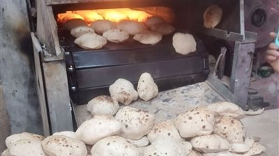 ضبط 16 طن دقيق.. حملات تموينية مكثفة لضبط التلاعب بأسعار الخبز الحر