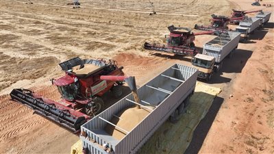 الشركة الوطنية لإستصلاح وزراعة الأراضى الصحراوية.. رحلة بدأت 1999 