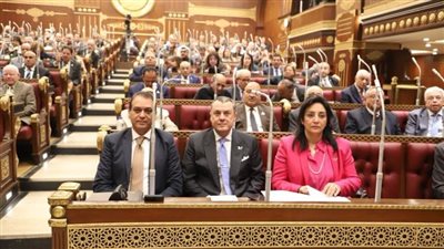 مجلس الشيوخ يناقش سياسة الحكومة لإحلال وتجديد المساجد غدا