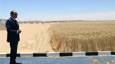 الهيئة الهندسية: زراعة 430 ألف فدان جنوب الوادى بتكلفة 180 مليار جنيه