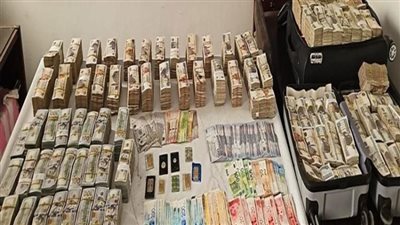 بقيمة 80 مليون جنيهاً.. ضبط شخص بتهمة الإتجار بالمواد المخدرة