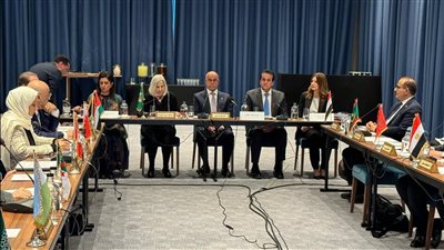 الدكتور خالد عبدالغفار: مجلس وزراء الصحة العرب يدين الهجوم العنيف على المستشفيات بقطاع غزة 